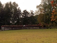 B-Herbststimmung 039.jpg